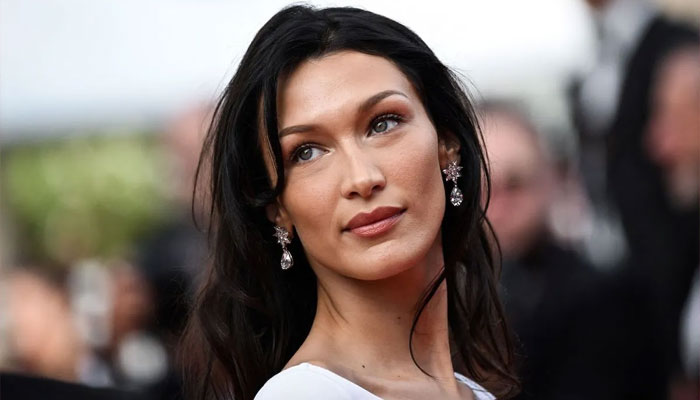 Bella Hadid sued by photographer for using his work without permission