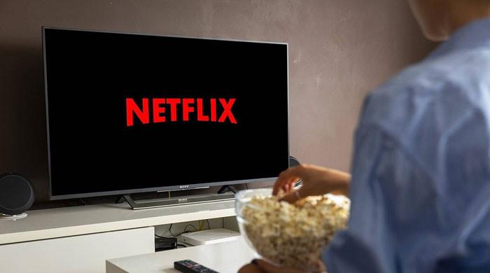 Netflix Password Sharing May Be Illegal In UK, Britsh Government Warns