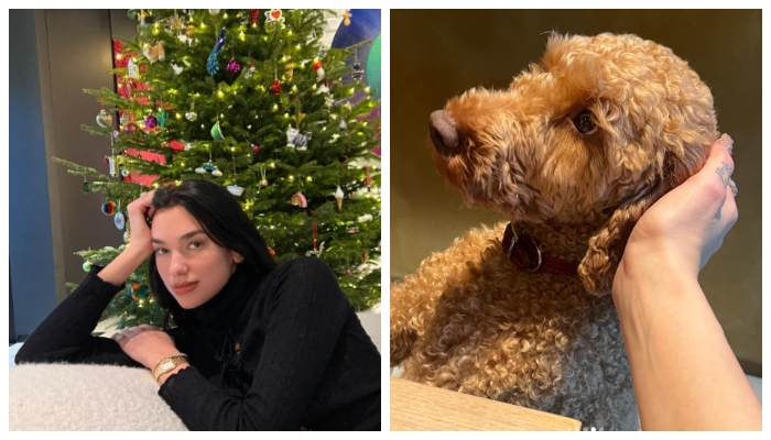 Dua Lipa looks gorgeous as she gets into festive spirit  with her dog