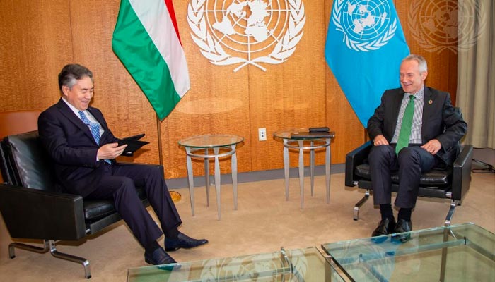 Images taken from the official United Nations website, which shows the flag of Hungary.