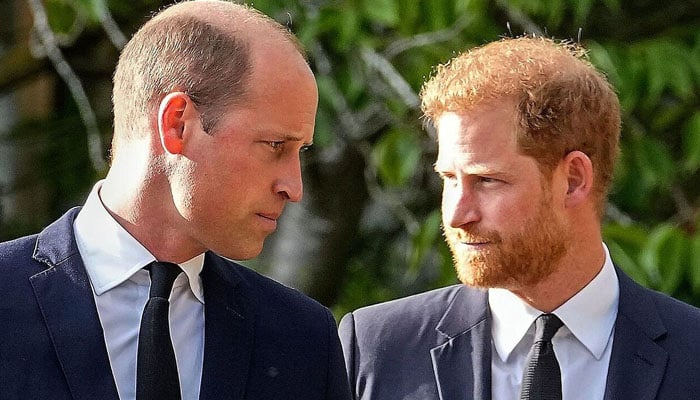 Prince William and the Royal Family are not ‘scared’ of Prince Harry’s upcoming highly-anticipated memoir Spare