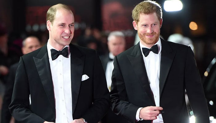 Prince Harry, Prince William Warned They're Making 'biggest Mistake'