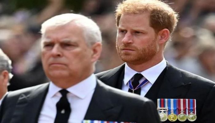 Prince Harry may lose a royal ally after criticising Prince Andrew in ...