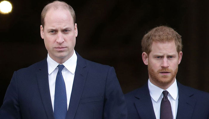 Prince Harry will 'alarmingly' grow bald like Prince William in 'three ...