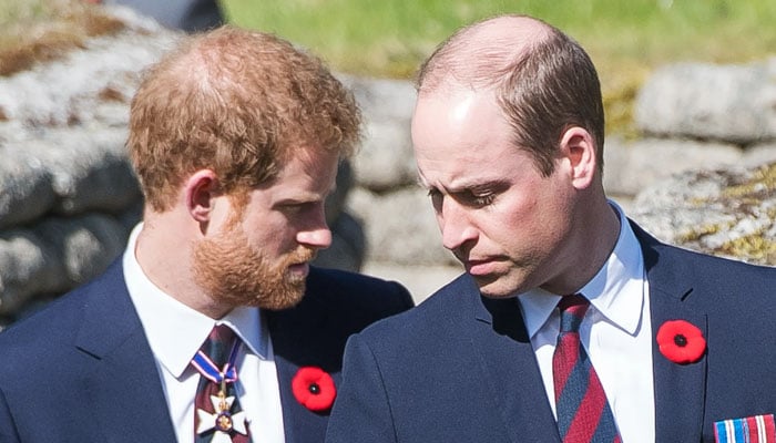 El príncipe Harry afirmó en sus memorias Spear que el príncipe William una vez se burló de sus ataques de pánico.