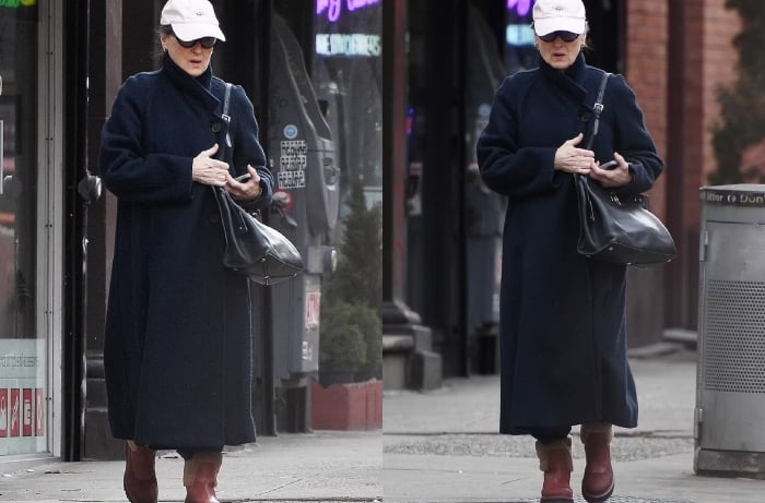 Meryl Streep spotted in a rare appearance after observing a low-profile for months