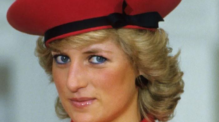 Princess Diana two-word answer when ‘misogynist’ asked ‘where are you ...