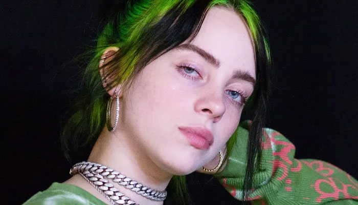 Billie Eilish gets update for restraining order on home burglar