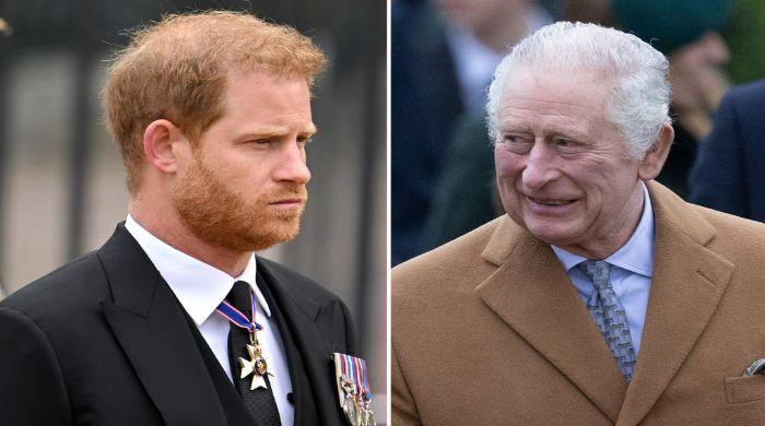 Expert Explains Why Reconciliation Between Harry And King Charles Won't Be Easy