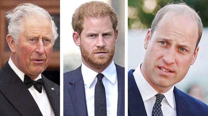 Prince William fears Prince Harry will ‘kill’ King Charles ‘just like ...