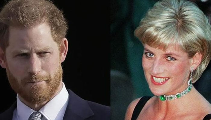 Prince Harry feels justified unlike his mother Princess Diana