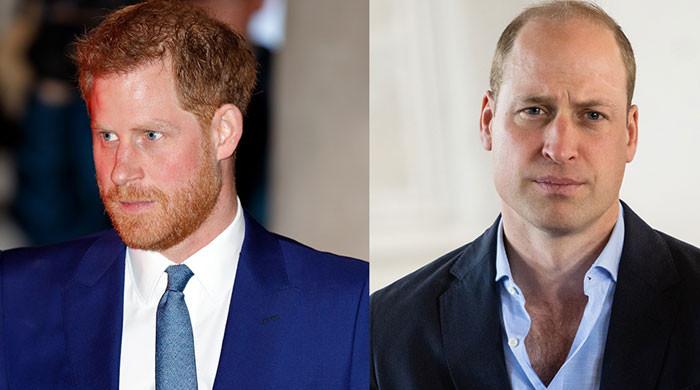 Prince William did not think it was ‘safe’ to give mic to Harry at wedding