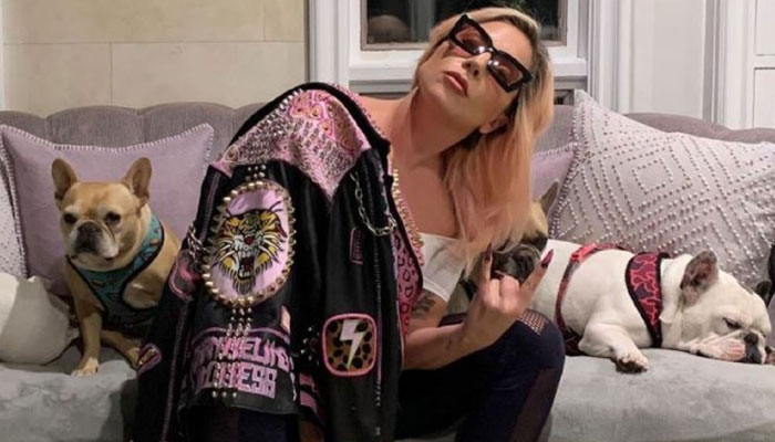 Lady Gaga’s dog snatching accomplice sues over $500K reward