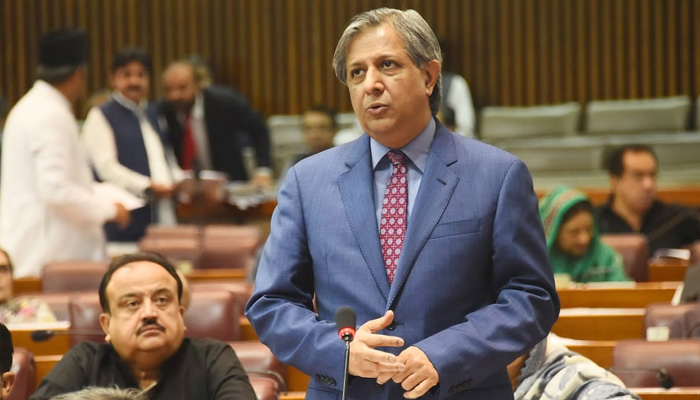 Law Minister Azam Nazeer Tarar speaks on the floor of the upper house. -APP/File