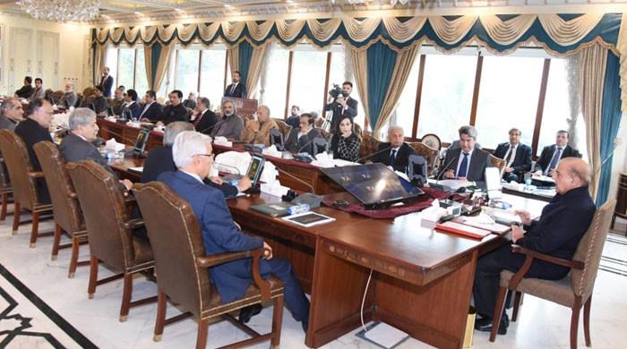 PM Shehbaz seeks end to electricity theft, transmission line losses