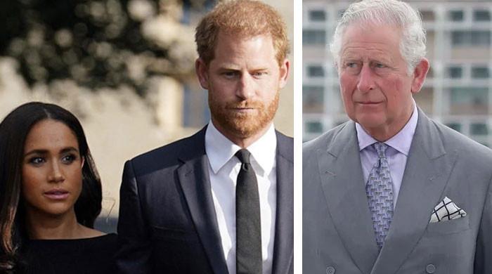 King Charles ‘dragged on’ Prince Harry, Meghan Markle drama ‘for too long’