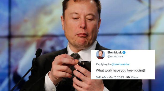 'Have I been fired?': Twitter employee asks Elon Musk