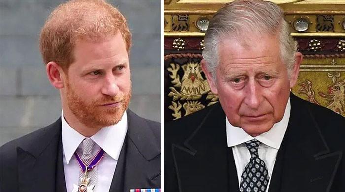 Prince Harry a ‘walking threat’ King Charles shouldn’t avoid