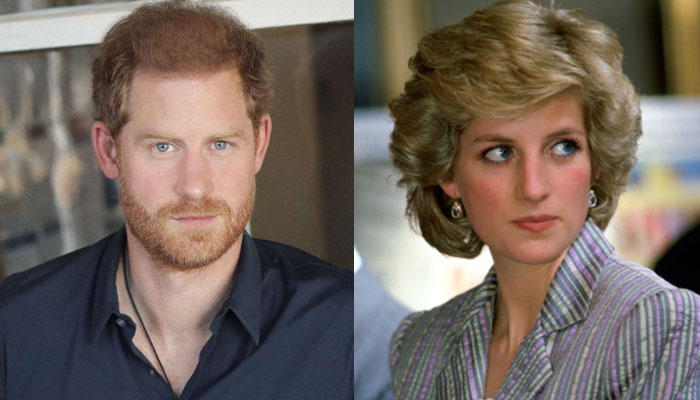 Diana wouldnt have liked Harrys feud with Charles: She was real stickler for good manners