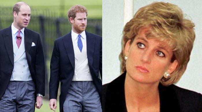 Princess Diana would be 'unhappy' with Prince Harry's feud with Prince ...