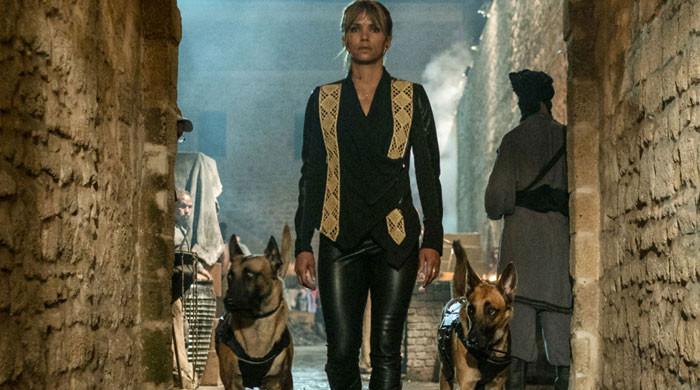 Halle Berry, 'John Wick 3' Director on What's Different This Time Around –  The Hollywood Reporter