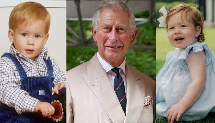 King Charles has no bad feelings for Prince Harry and Meghan Markles kids