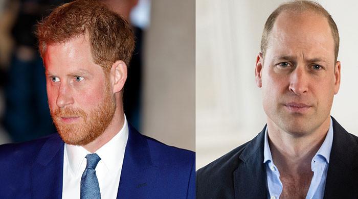 Prince Harry got 'horror look' from Prince William after asking for drugs