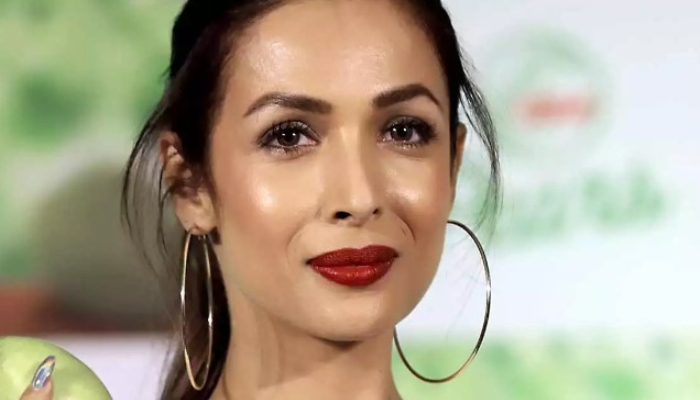 Malaika Arora has been dating Arjun Kapoor for some time now