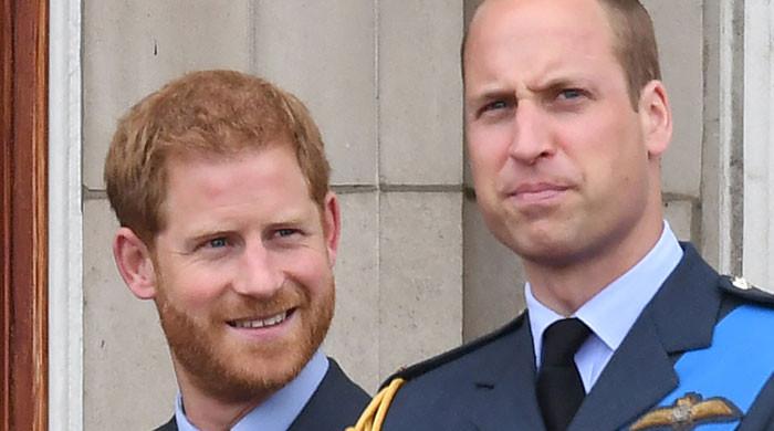 Prince Harry, William should ‘bury the hatchet by now’