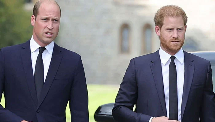 Prince William's 'firm warning' to Prince Harry revealed