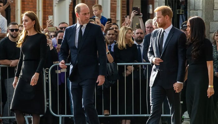 Kate Middleton dubbed walkabout with Harry, Meghan ‘hardest’ thing she did