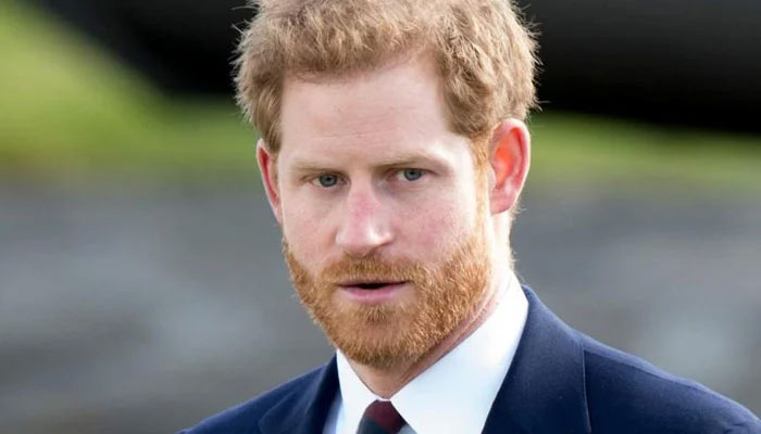 King Charles coronation: Royals wont talk about anything Harry could sell