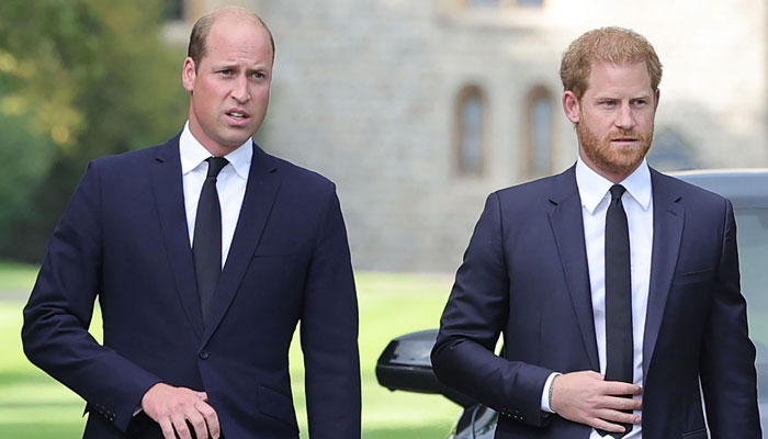 Justin Welby Failed To Convince William And Harry To End Differences On Kings Request 9120