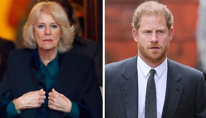 Prince Harry’s Attacks On Camilla In ‘Spare’ Reveals A ‘brutal Irony’