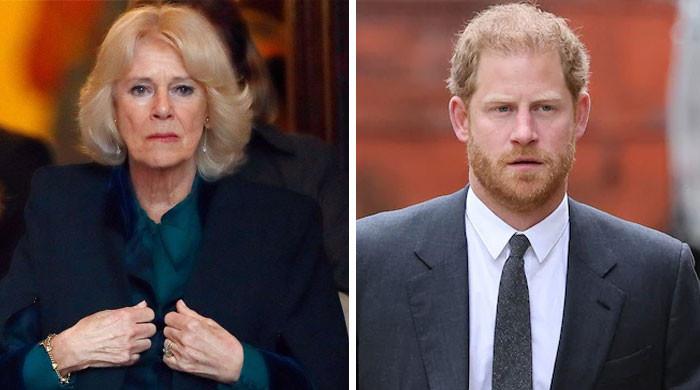 Prince Harry’s Attacks On Camilla In ‘Spare’ Reveals A ‘brutal Irony’