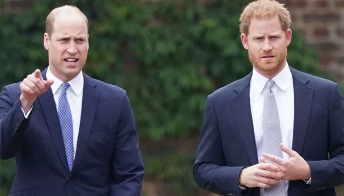 Ingrate Harry targeted William after receiving donations from brother?