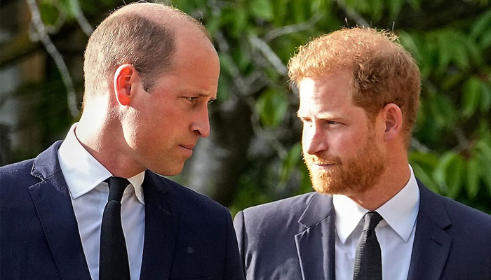 Prince William and Prince Harry shouldn't be 'pressured' to reconcile