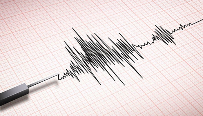 A representational image of a Ritcher scale measuring earthquake. — Unsplash/File