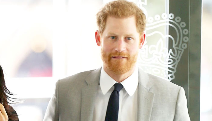 Prince Harry’s future hinges on ‘precious hours’ with King Charles