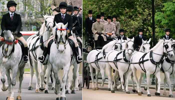 Meg, other famous Windsor Greys to pull King Charles carriages on coronation