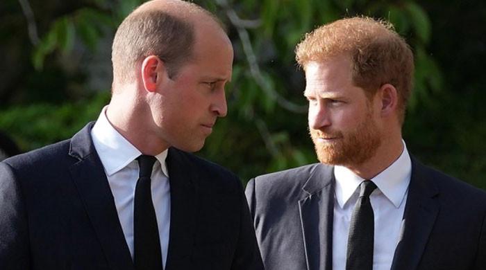 Prince William To Be ‘collateral Damage’ To Prince Harry