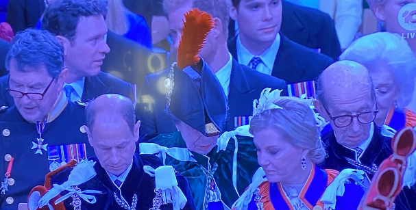 Princess Anne praised for hiding Prince Harrys face at Coronation