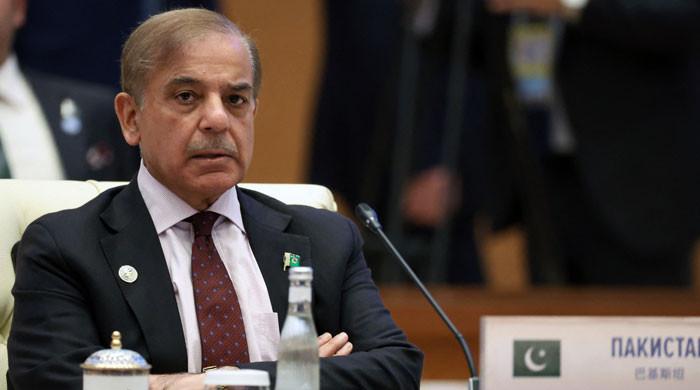 PM Shehbaz berates PTI for creating controversy over Bilawal's India visit