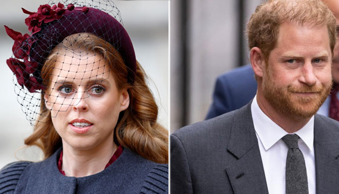 Prince Harry Losing Allies In Princess Beatrice: 'Not As Straightforward'