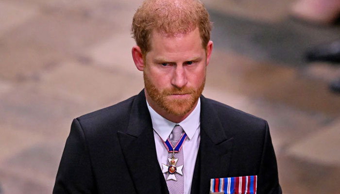 Lip reader analyzes Prince Harry’s ‘uncomfortable’ chat at Westminster ...