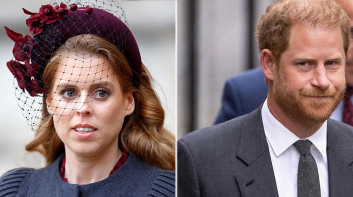 Prince Harry losing allies in Princess Beatrice Not as straightforward