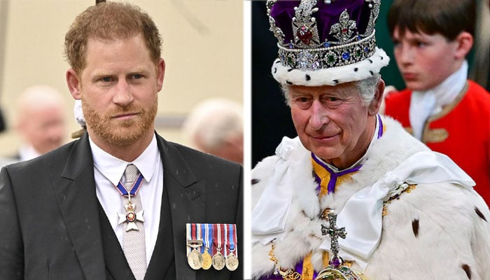 Prince Harry ‘doesn’t merit’ the ‘satisfaction’ of an apology