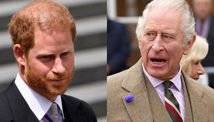 King Charles needs ‘a crash helmet’ to deal with Prince Harry