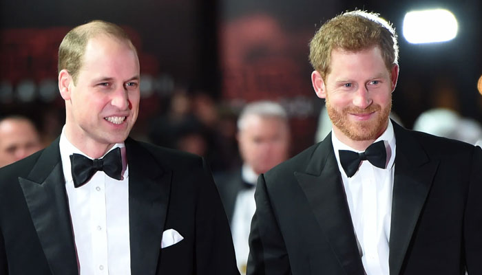 Prince William, Prince Harry feud: Expert believes brothers will reconcile in 10 years