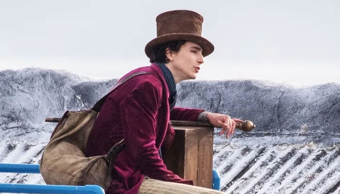 Timothée Chalamet reveals what drew him to Wonka role